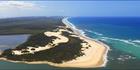 Jumpinpin - North Stradbroke Island - QLD (PBH4 00 19183)